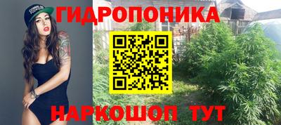 винт Донецк