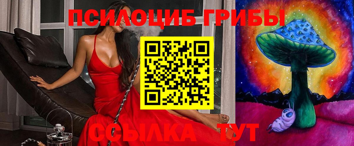 Красный Сулин  Псилоцибиновые грибы MAGIC MUSHROOMS  Вход с VPN 